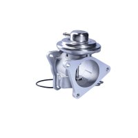 AGR-Ventil pneumatisch mit Dichtungen NTK für VW PASSAT B6