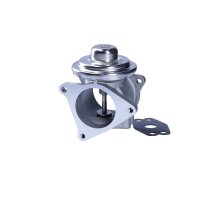 AGR-Ventil pneumatisch mit Dichtungen NTK für VW PASSAT B6