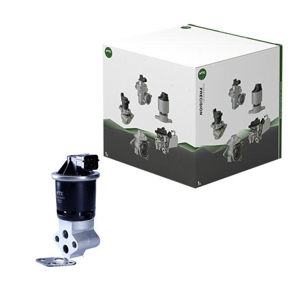 AGR-Ventil elektrisch Metall mit Dichtungen NTK für u.a. DAEWOO KALOS