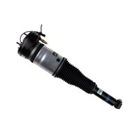 Air suspension strut rear axle gas pressure lower eye...