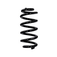 Suspension spring rear axle Ø 15.8 mm 304 mm...