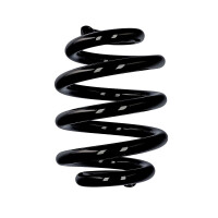 Suspension spring rear axle Ø 21 mm 250 mm EIBACH...