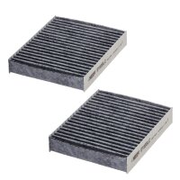 Innenraumfilter Aktivkohle 171-138mm 30mm HENGST FILTER...