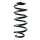 Suspension Spring Rear Axle Coil spring with constant wire diameter SPIDAN for NISSAN X-Trail