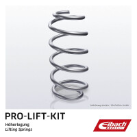 Suspension spring rear axle coil spring Ø 13.5 mm 325 mm EIBACH Pro-Lift-Kit