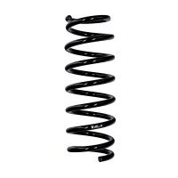 Suspension spring rear axle Ø 10.8 mm 302 mm...