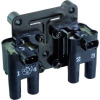 Ignition Coil voltage converting BBT IAM expertise...