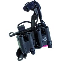 Ignition Coil voltage converting BBT IAM expertise...