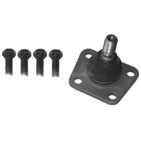 Support And Guide Joint lower 16.8 mm METZGER for FIAT...