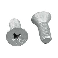 Schraube Bremsscheibe 20mm SW PH3 METZGER für...