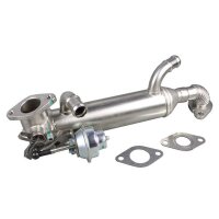 Kühler Abgasrückführung mit Dichtungen...