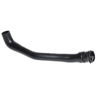 Kühlerschlauch links oben METZGER IAM-Expertise...