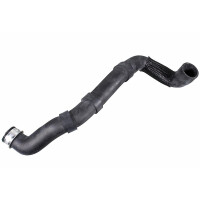 Radiator Hose bottom left from engine to radiator METZGER...