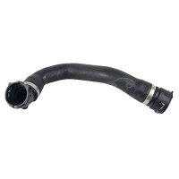 Radiator Hose top right from thermostat to radiator...