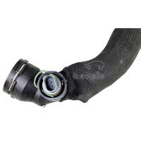 Radiator Hose bottom left from radiator to water pump...