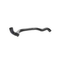 Radiator Hose bottom left from radiator to water pump METZGER for e.g. VW GOLF