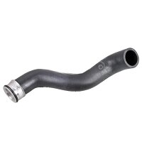 Kühlerschlauch rechts oben Eingang Motorkühler...