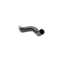 Radiator Hose from radiator to water pipe METZGER for...