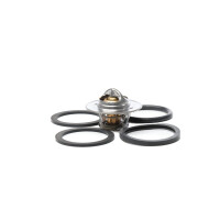 Thermostat Coolant opening temperature 89 °C METZGER...