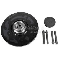 Riemenscheibe Kurbelwelle 6 Rippen METZGER passend...