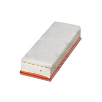 Luftfilter-Einsatz 316 mm - 113 mm VALEO für u.a....