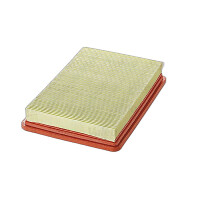 Luftfilter-Einsatz 255 mm - 174 mm VALEO für u.a....