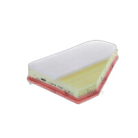 Luftfilter-Einsatz 319 mm - 225 mm VALEO IAM-Expertise...