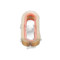 Luftfilter-Einsatz VALEO IAM-Expertise passend für...