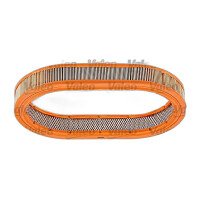 Luftfilter-Einsatz VALEO IAM-Expertise passend für u.a. FORD ESCORT