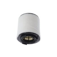 Luftfilter-Einsatz VALEO IAM-Expertise passend für u.a. SEAT IBIZA