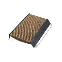 Innenraumfilter antiallergisch 262 mm - 173 mm VALEO...