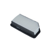 Luftfilter-Einsatz 247 mm - 130 mm VALEO für u.a....