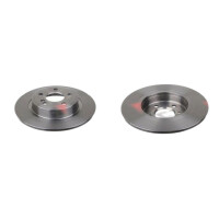 2 brake discs rear axle full Ø 295 mm 10 mm FTE...