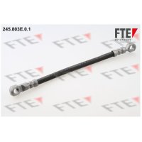 Brake hose FTE for FENDT