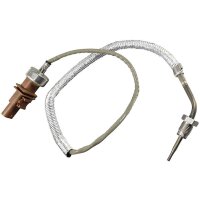 Sensor exhaust gas temperature before soot particle...