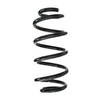 Fahrwerksfeder hinten Schraubenfeder 273mm SPIDAN...