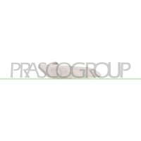 Indicator front left side installation PRASCO for ALFA...