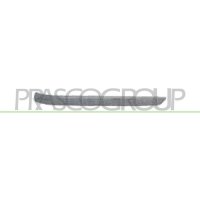 Decorative/protective strip bumper PRASCO for BMW 3 (E46)