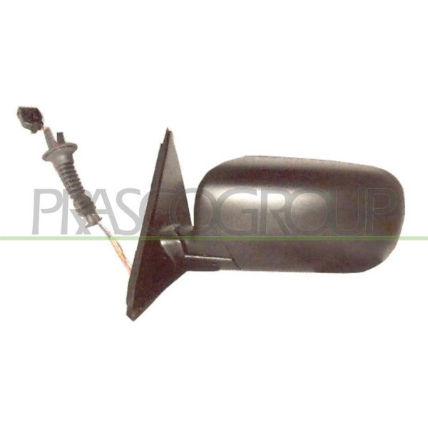 Exterior mirror PRASCO for BMW 5 (E39)