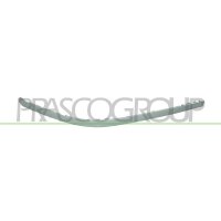 Decorative/protective strip bumper PRASCO for BMW 5 (E39)