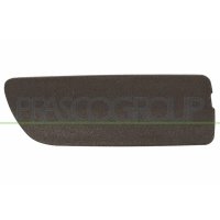 Flap tow hook PRASCO for BMW X5 (E53)