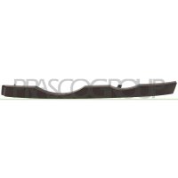 Headlight cover PRASCO for BMW X5 (E53)