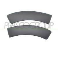 Widening fender PRASCO for CITROËN C3 /