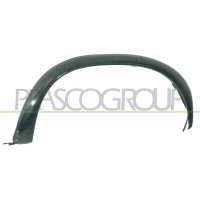 Widening fender PRASCO for NISSAN