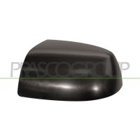 Cover outside mirror PRASCO for FORD FOCUS II