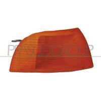 Lens indicator PRASCO for FIAT PUNTO (176_)