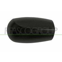 Cover outside mirror PRASCO for FIAT PUNTO (176_)