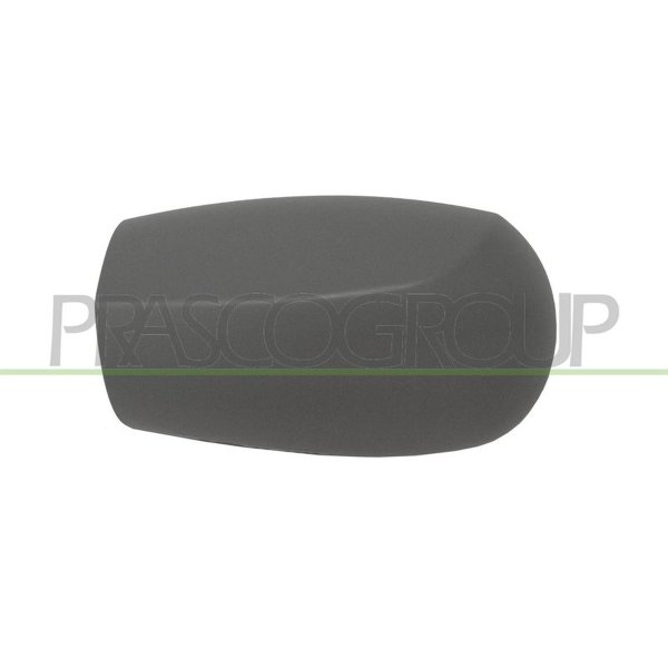 Cover outside mirror PRASCO for FIAT PUNTO (176_)