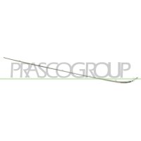 Decorative/protective strip bumper PRASCO for MERCEDES...