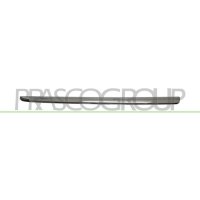 Decorative/protective strip radiator grille PRASCO for...